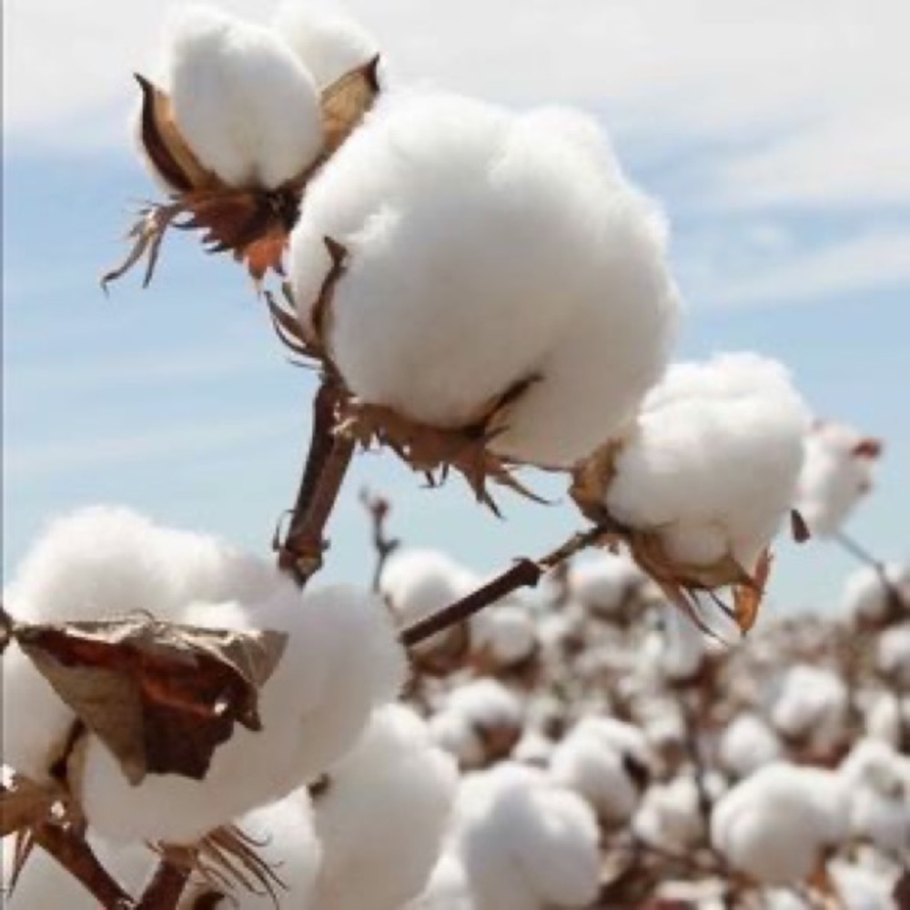 Meet your Posher, Lafferre